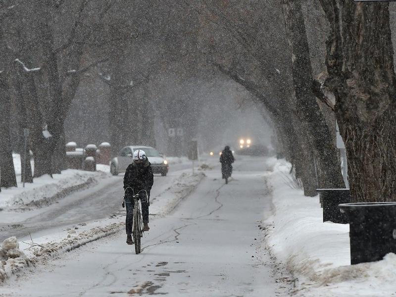 Keith Gerein: Nuisance or not, Edmonton’s bike lanes are no business of the UCP government