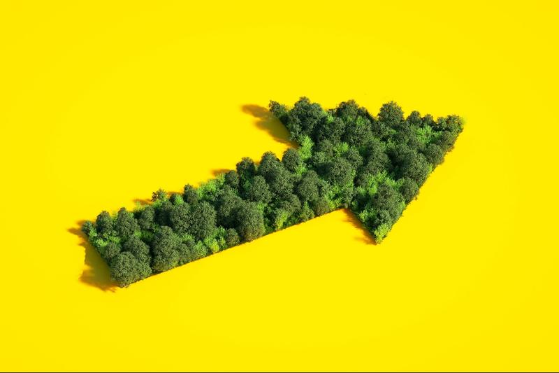 Small Businesses Have the Biggest Economic — and Environmental — Footprint. Here's How They Can Actually Create a Greener Future.