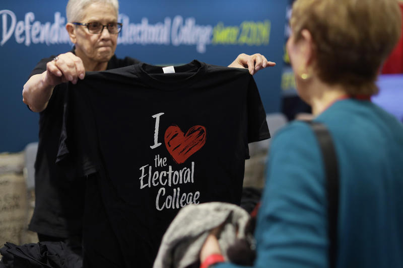 Electoral College Concerns Run Deep for Democrats and Republicans | Opinion