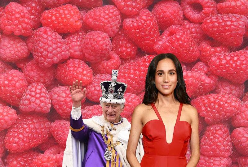If Meghan really wants to win over her critics, she could take a lesson from the king