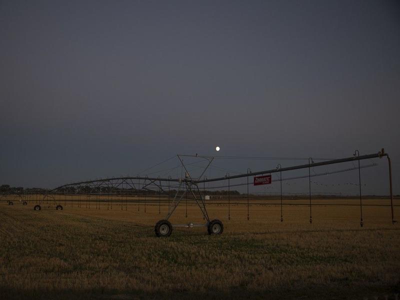 Opinion: More irrigation could help insulate Sask. against trade turmoil