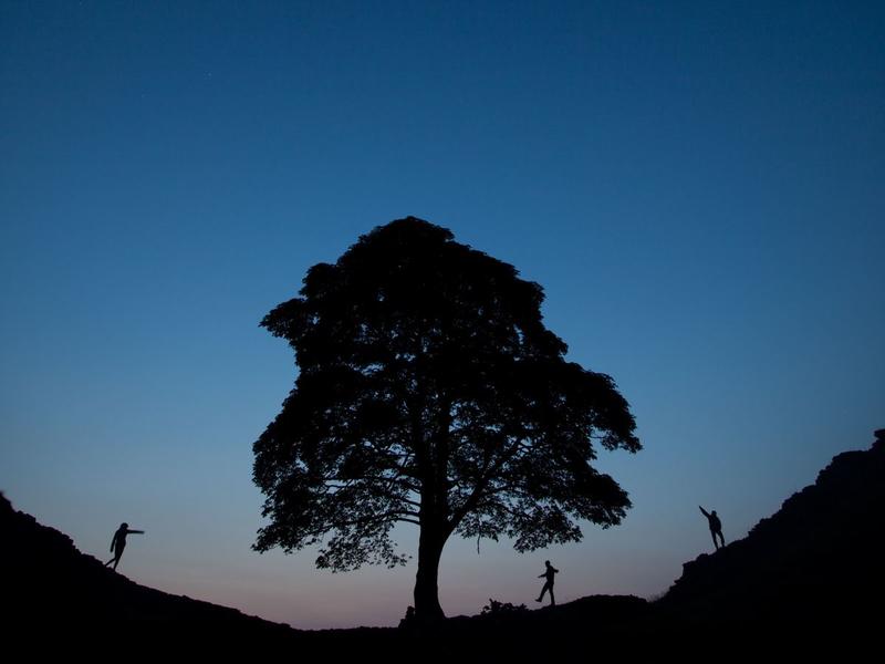 Peter Rhodes on felling trees, hunting recruits and a lesson from Just William