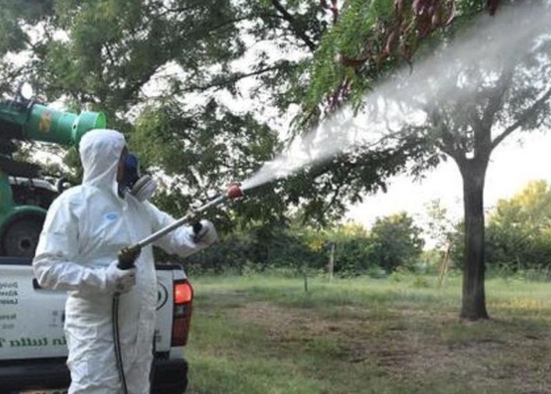 Dengue, scatta la disinfestazione. La paziente ricoverata a Fermo: “Il virus è stato contratto all’estero”