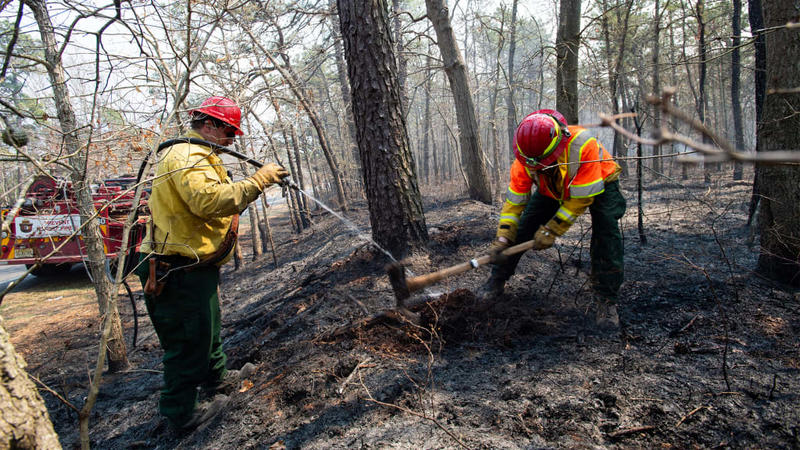 A New Jersey wildfire tore through thousands of acres—right after the state cut back on prescribed burns