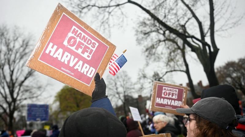 Morning Glory: What is Harvard arguing?