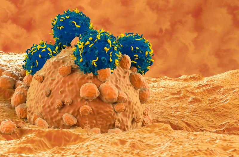 CAR-T : así funciona la terapia que está revolucionando la lucha contra el cáncer