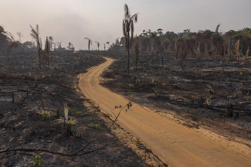 Mudanças climáticas reduziram PIB do agro em ao menos R$ 460 bi em 2024