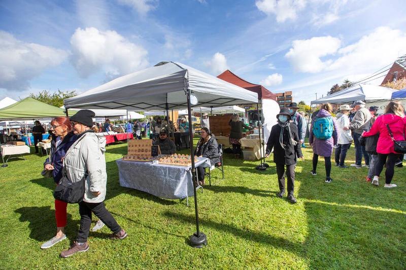 Letters April 24: Victoria community plan; federal election; daylight saving