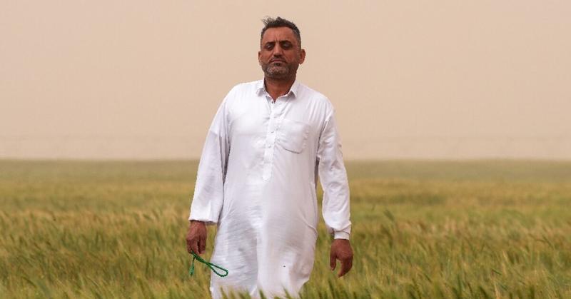 Iraq farmers turn to groundwater to boost desert yield