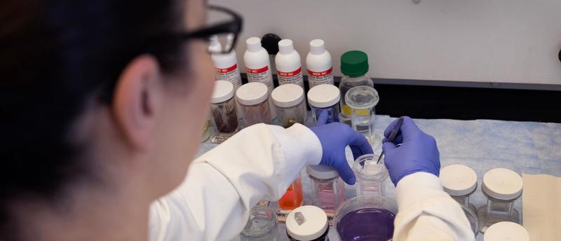 STEVE MILLOY: What Exactly Have NIH Grants Got Us?