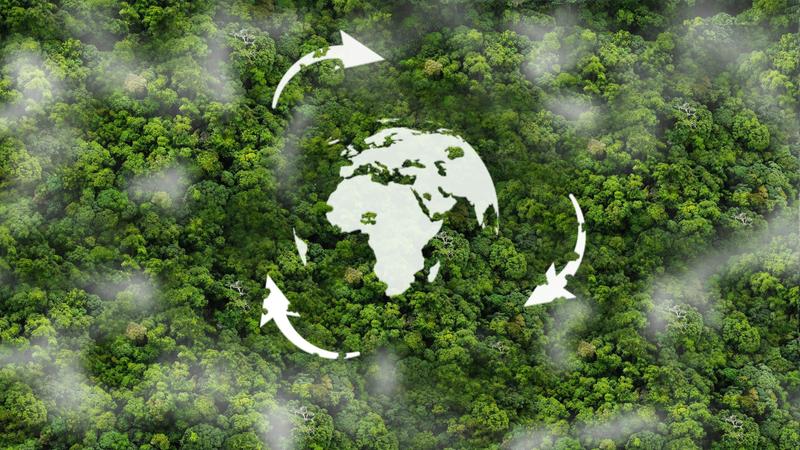 Proyectos para plantar la semilla de la sostenibilidad en el alumnado universitario
