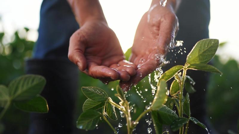 El reto de regenerar las aguas residuales para usarlas en agricultura