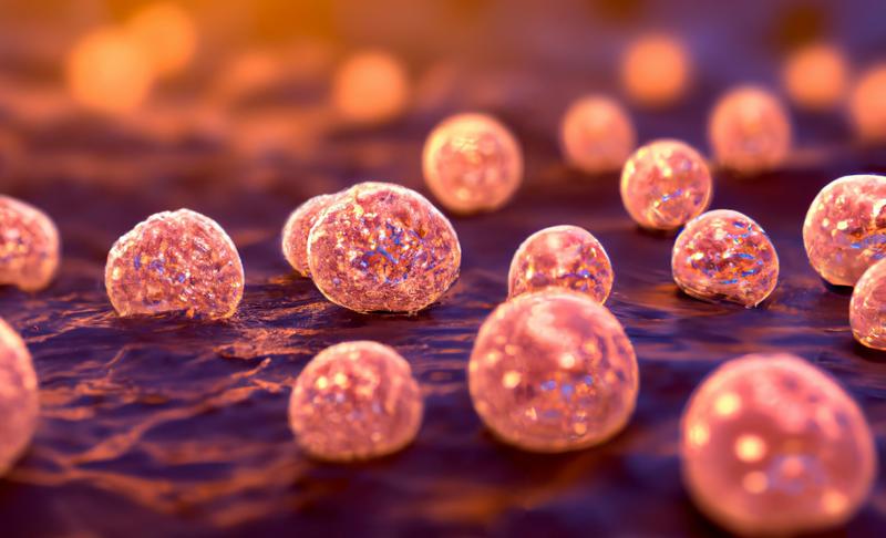 La resistencia a los antibióticos, un problema que tiene millones de años de antigüedad