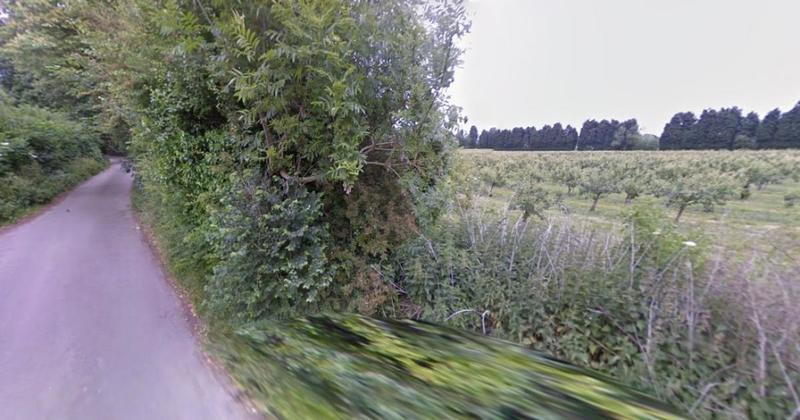 Locals oppose plans for 'self-build' homes on leafy lane