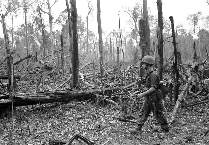 50 years later, Vietnam’s environment still bears the scars of war – and signals a dark future for Gaza and Ukraine