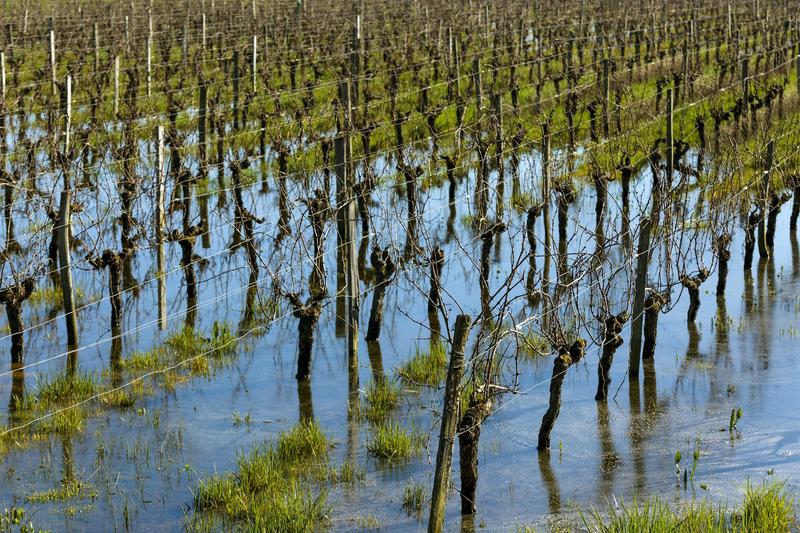 Protéger l’agriculture française face aux risques climatiques