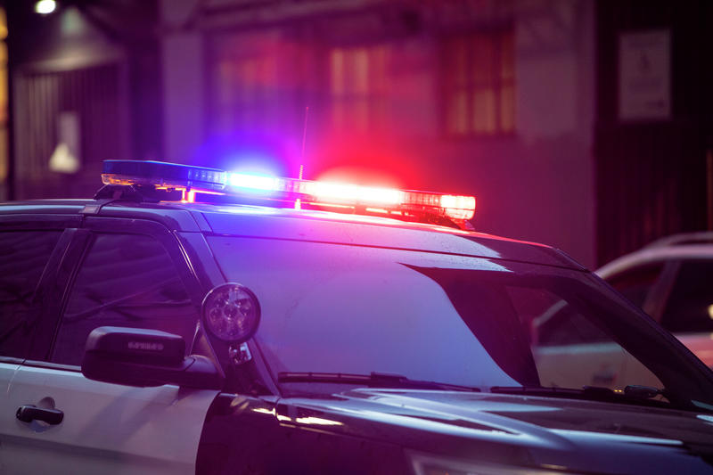 2 Bay Area residents arrested in connection with grisly discovery