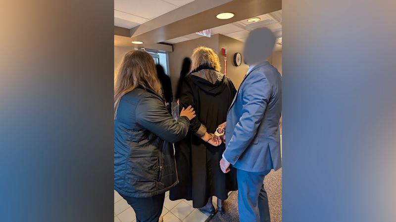 GREGG JARRETT: Rogue, leftist judges caused by an obsession with feelings, not facts