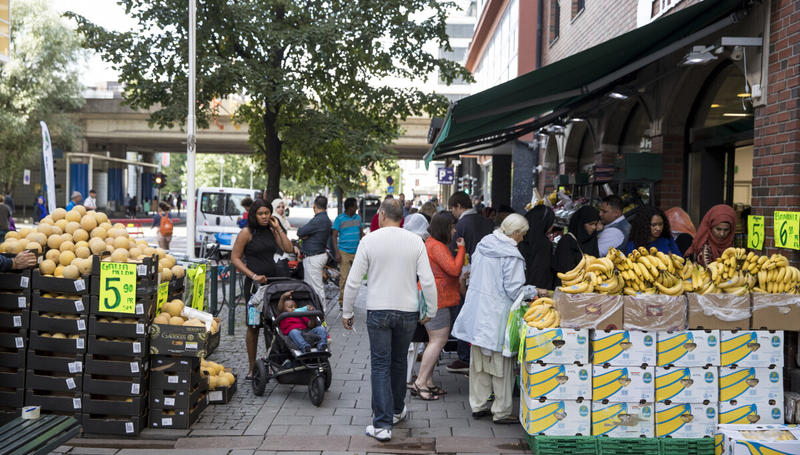 Går vår ferd vel, eller undergraver velferden vår eksistens?