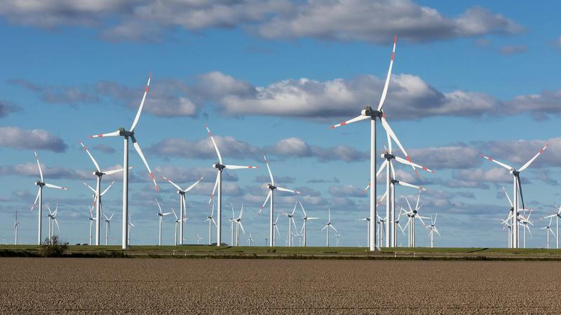 ¿Son compatibles las transiciones ecológica y digital de la UE?