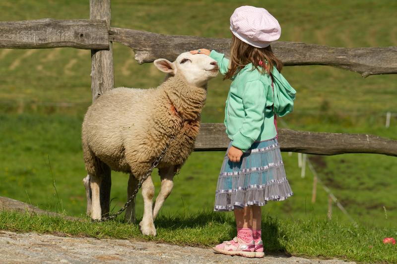 Humains, animaux, cellules, plantes : tous conscients ?