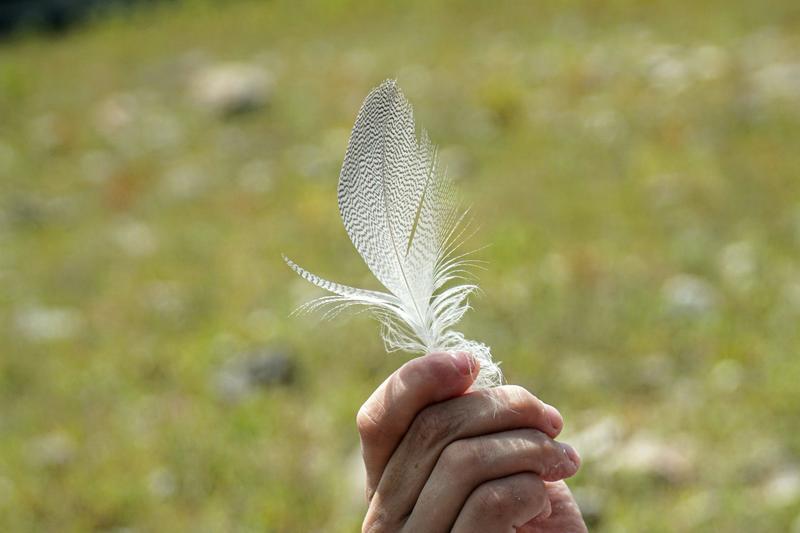 Pourquoi ne peut-on pas se chatouiller soi-m ême ?