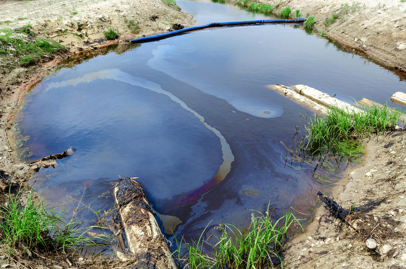 Nature’s Canopy in Crisis: Unveiling the Impact of Oil Spills in Nigeria’s Vital Mangroves