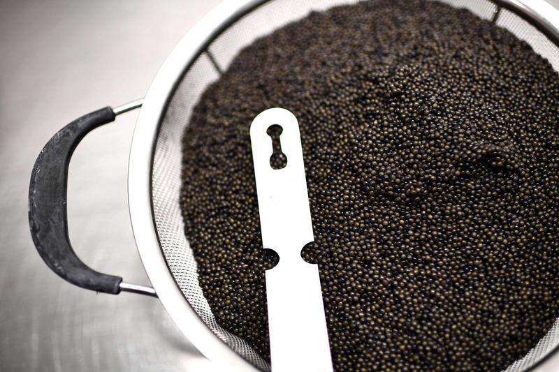Caviar barato tem tanta graça quanto o filé de tilápia