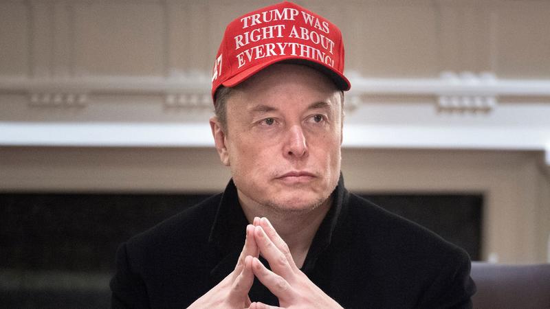 Has Musk gone too far? Or should he stick around? Take our poll.