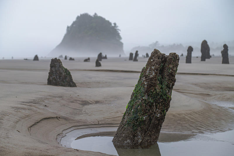 Massive earthquake could sink parts of Pacific Northwest coast within minutes
