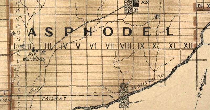 Asphodel: A tale of a township — Part 1