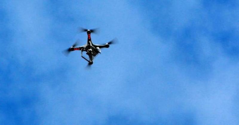 Nesting peregrines in danger as drone flown near city cathedral