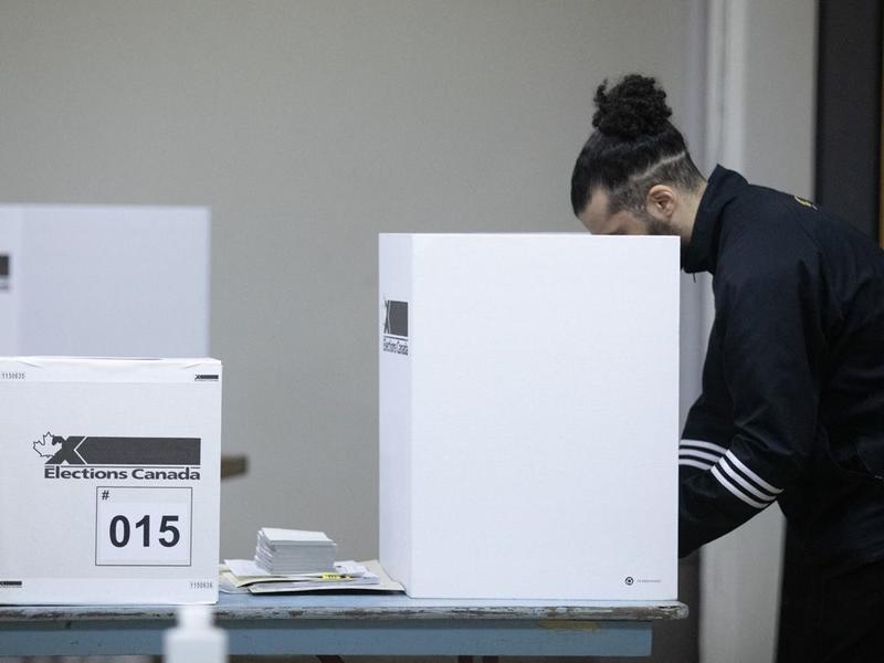 William Watson: We're a long way away from one person-one vote