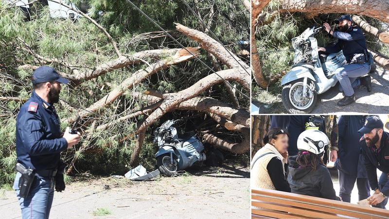 Crolla un pino, scooterista intrappolata tra i rami. “Sembrava una bomba”