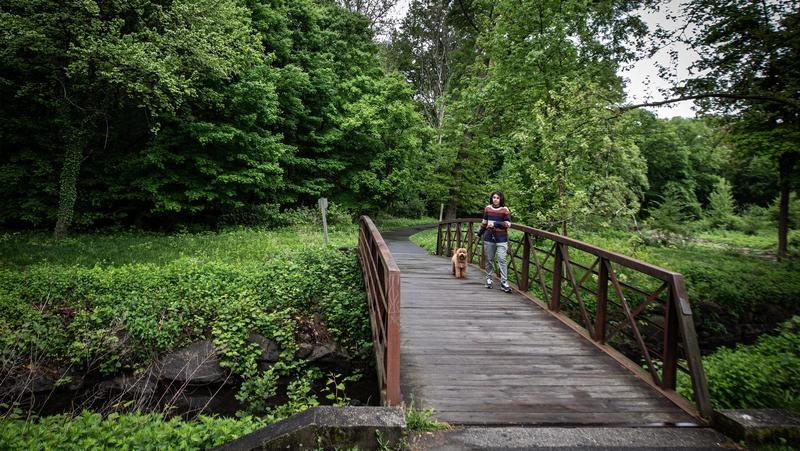 The Bronx River Reservation is plagued by floods. We have to fix itDaniel J. Killourhy 