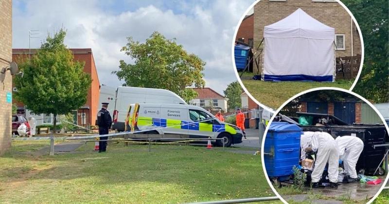 Man appears in court and denies Norwich murder