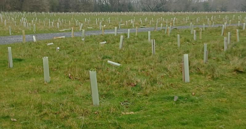 Police step up patrols after 'deeply disturbing' vandalism at burial park