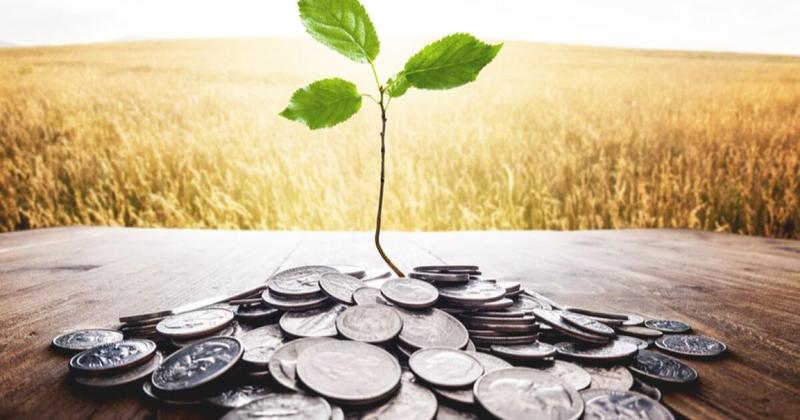 Creación de valor mediante la inversión en sostenibilidad