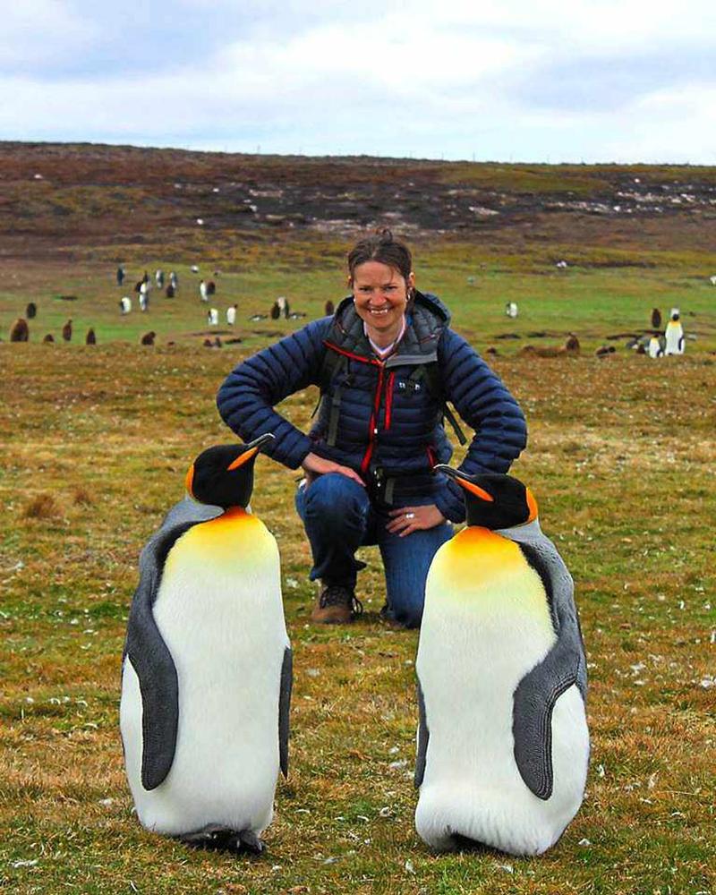 Peter Rhodes on apologies, imperial guilt and a lesson in rounding-up penguins