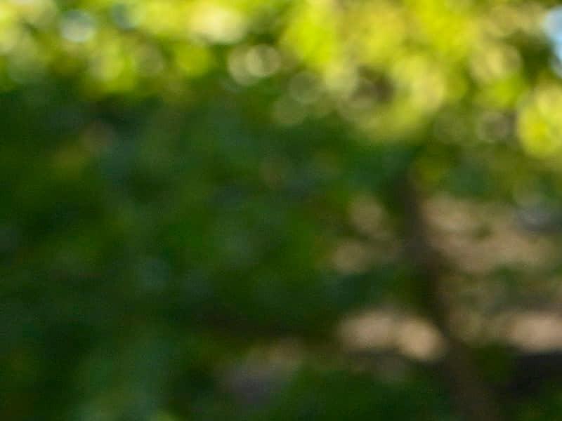 L'école doit avoir le contrôle sur les sanctions