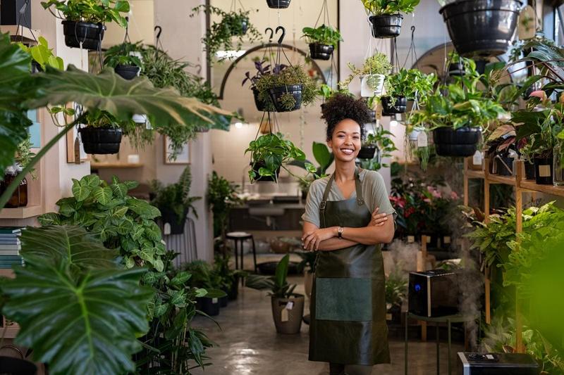 Tax Breaks: The Dream Big, Start Small Business Edition