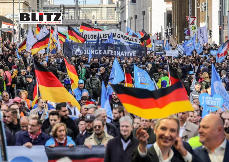 Germany’s intelligence agency declares AfD ‘extremist’ as party surges in popularity