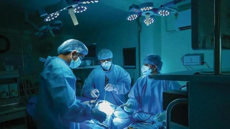 The surgical therapist