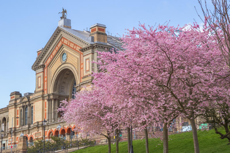 High & mighty /					 													 						Why Londoners still love Ally Pally