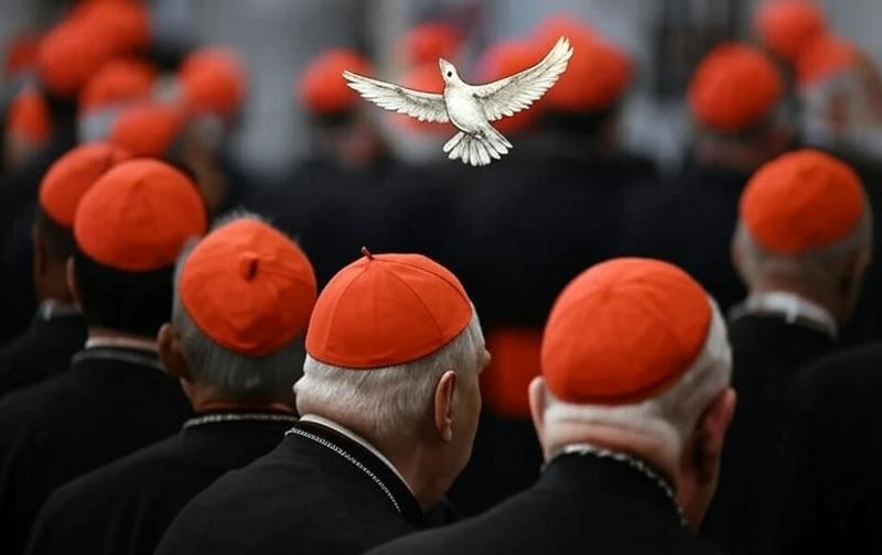 Algunas cuestiones, sobre economía y política, acerca sobre las que deberían reflexionar los cardenales