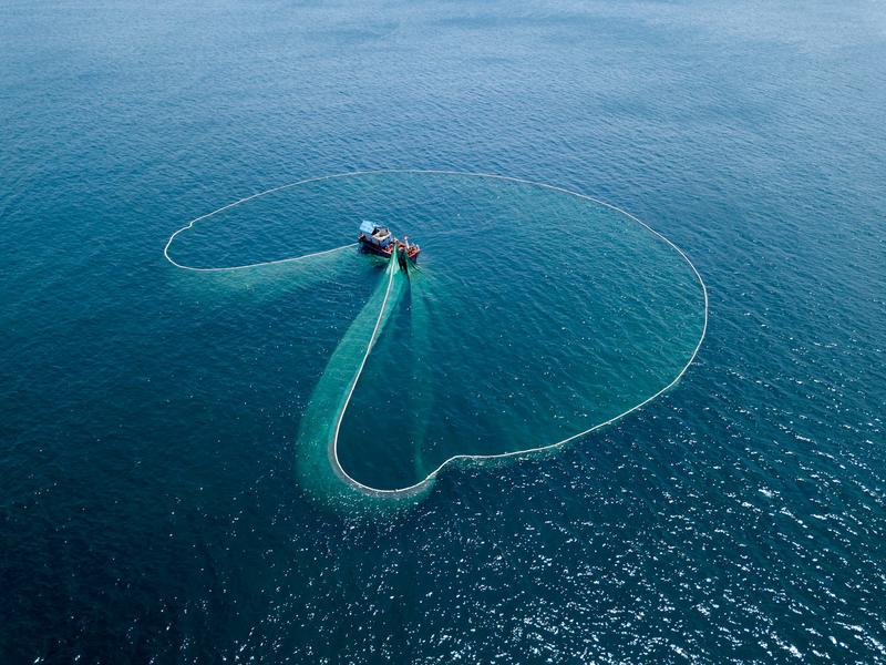 Pêches durables : et si on faisait le pari de la nuance ?