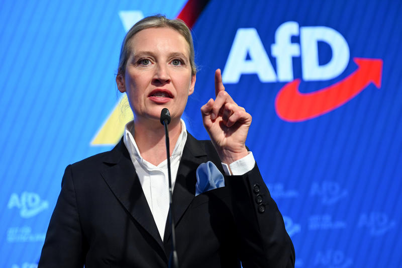 Germany is dangerously close to banning the AfD