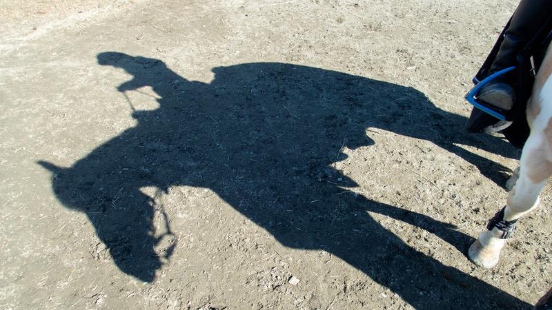 Advarer: På denne strekningen vil det skje en ulykke