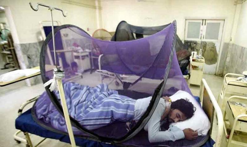 The dread of dengue