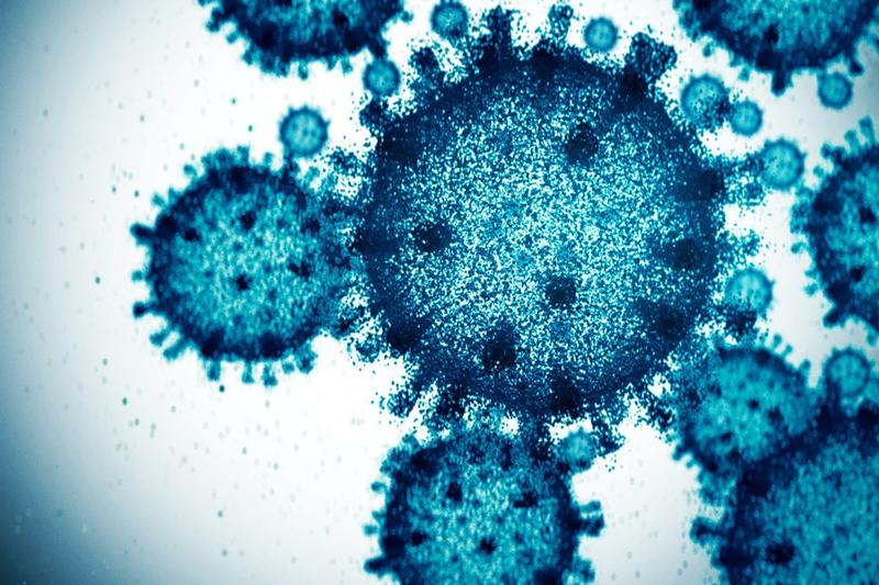 It's time to make friends with your viruses